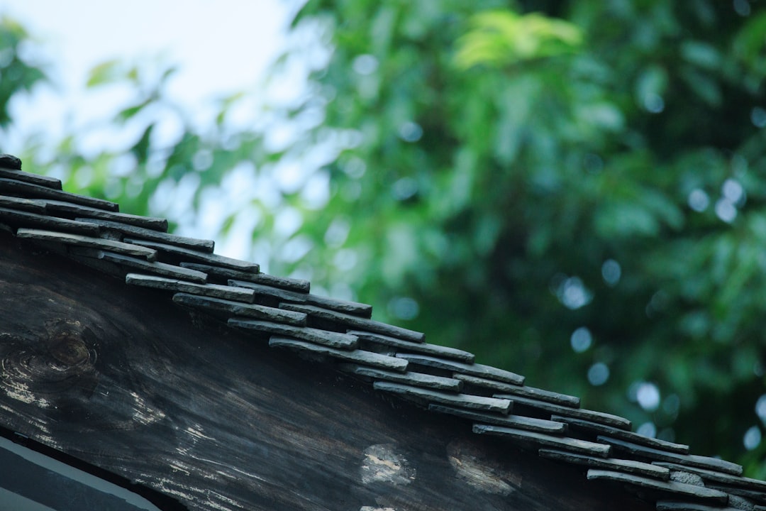 Comparison photo of asphalt shingles, standing seam metal, and tile roofing on different home styles